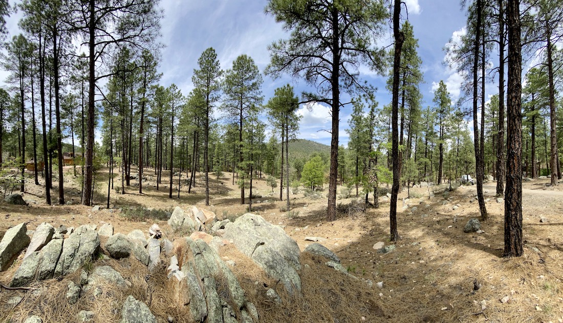 Building a log cabin in Walker! (Phoenix, Mesa house, neighborhood